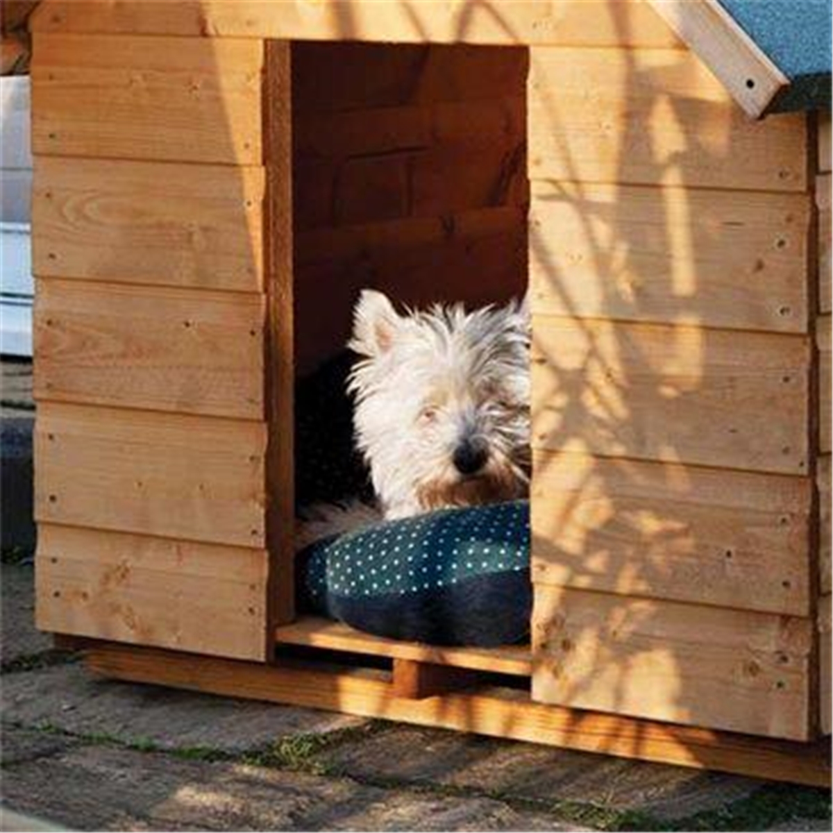 Medium Dog Kennel 3 x 3 (0.98m x 1.03m) ShedsFirst