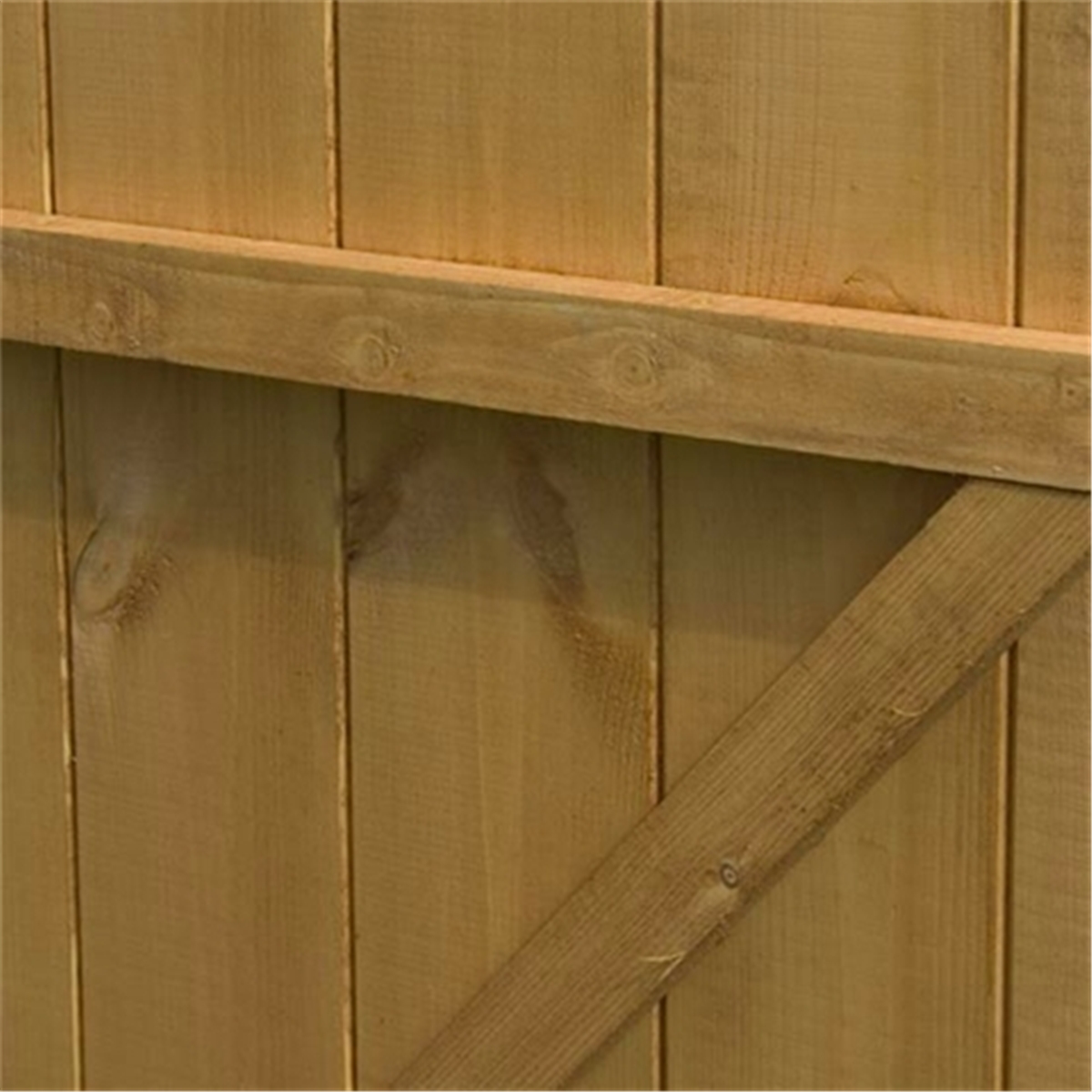 6 x 3 Tongue and Groove Tall Pent Shed *No Front Doors 