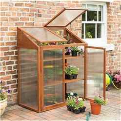 Deluxe Hardwood Mini Greenhouse (4ft X 2ft)